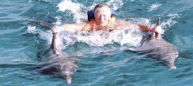 Dolphin Royal Swim VIP